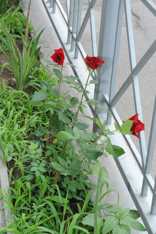 Villa 29 Yerevan Ngoại thất bức ảnh